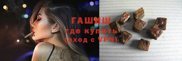 стаф Алзамай